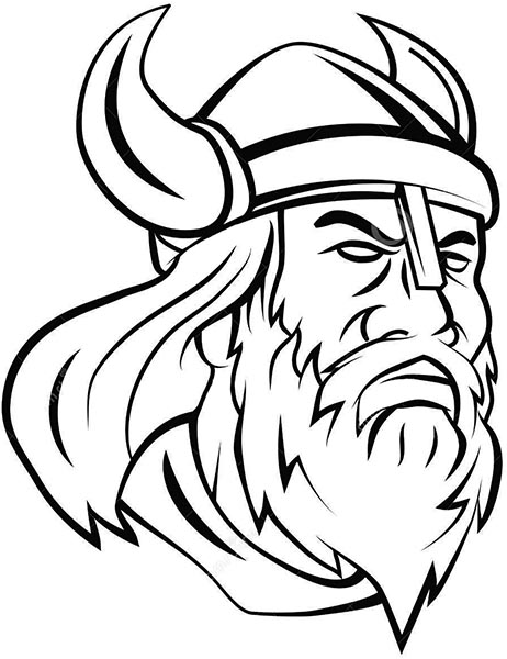 462x600 Viking Tour To Iceland