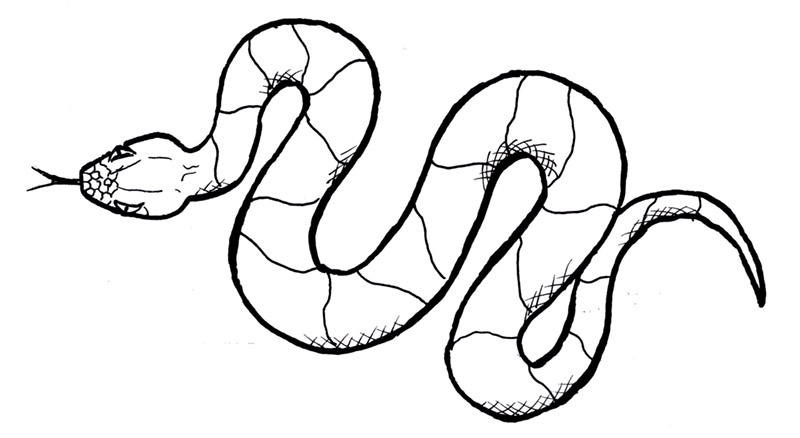 800x438 Snake Draw