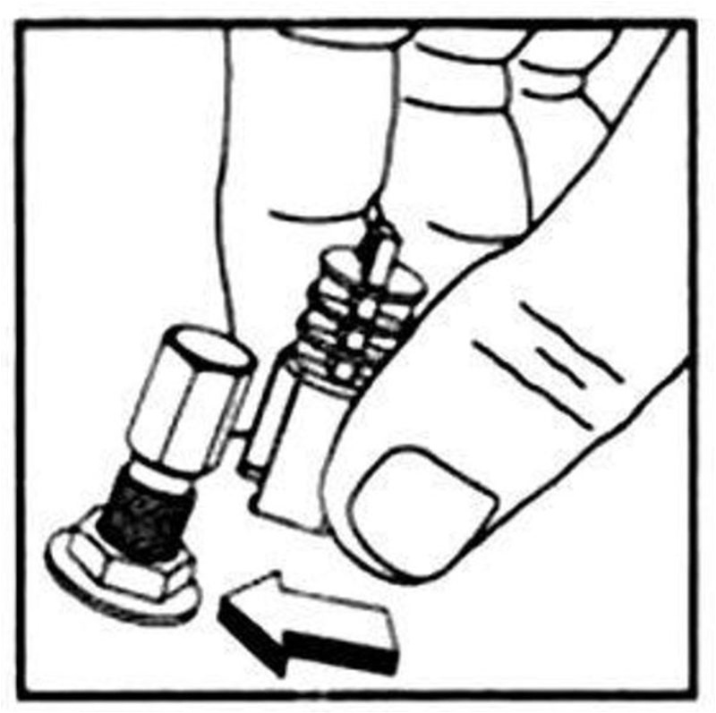 800x797 Ford Mustang Logo Anti Theft Tire Valve Caps