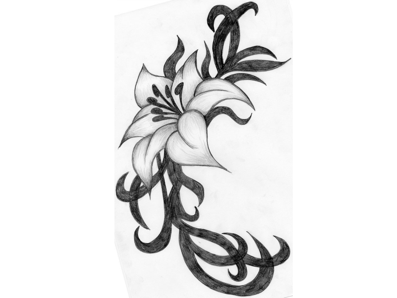 1280x960 40 Magnolia Tattoos