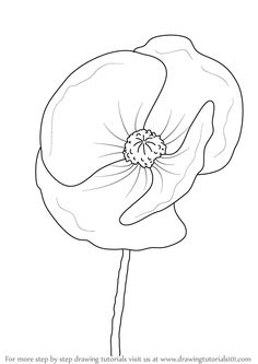 236x333 Learn How To Draw This Easy Poppy For Kids! In This Easy Drawing