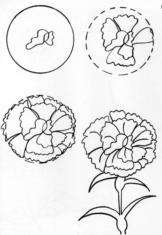 564x815 Pin By Mari Rice On 1st How To Draw Anything