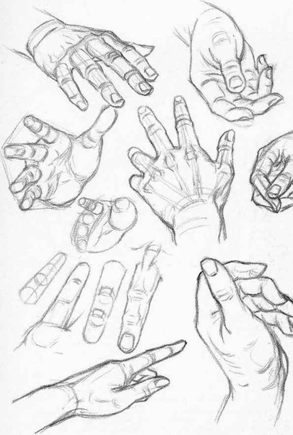 595x883 Hand And Finger Foreshortening Art References