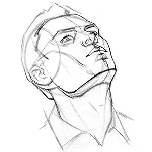 300x300 How To Draw The Head From Extreme Angles Proko