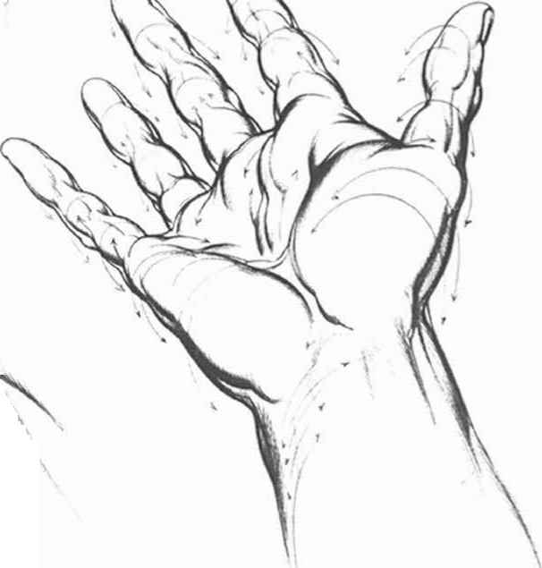 606x635 Overlapping Interlacing And Spiralnc