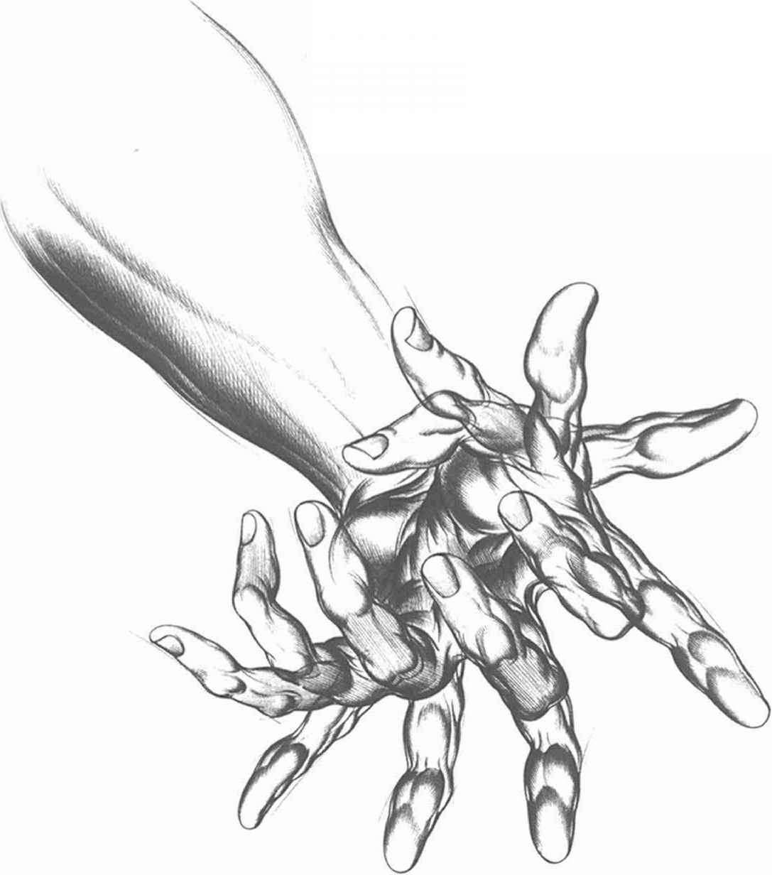 Foreshortening Hand Drawing at GetDrawings | Free download