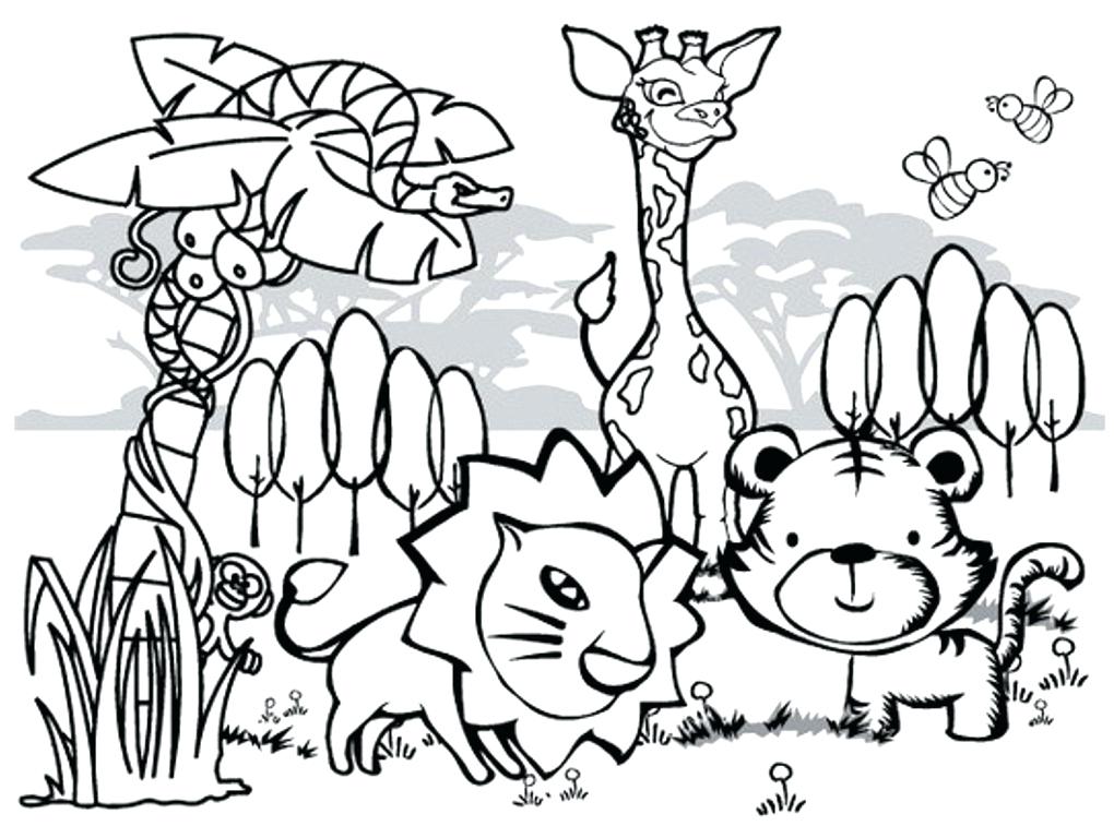 1020x768 Complete Rainforest Coloring Pages Fee Rain Forest Tropical