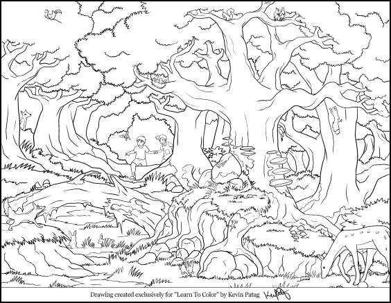 564x437 Forest Animals Coloring Pages