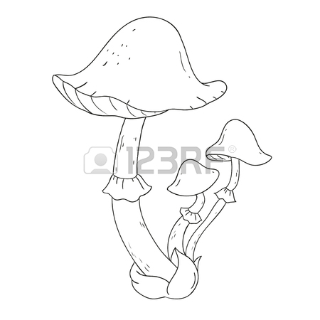 450x450 Forest Mushrooms. Edible Mushroom White. Coloring Book Vector