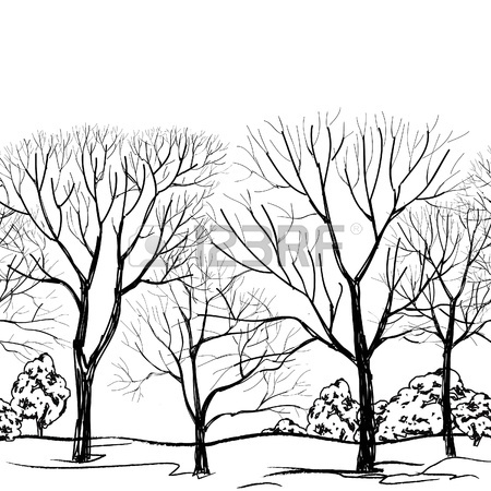 450x450 Tree Without Leaves Seamless Border Forest Seamless Background