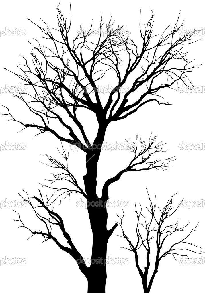 715x1023 Vector, Tree, Silhouette, Nature, Forest, Branches, Woods