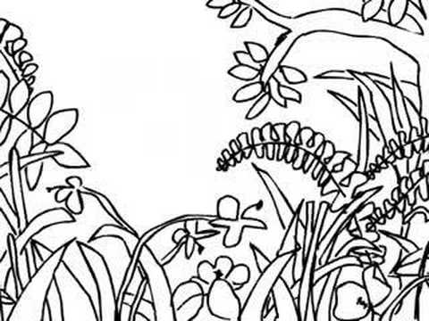 480x360 Drawing A Jungle Scene