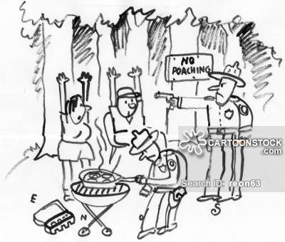 400x340 Forest Rangers Cartoons And Comics