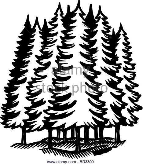 468x540 Black White Cartoon Illustration Forest Stock Photos Amp Black White