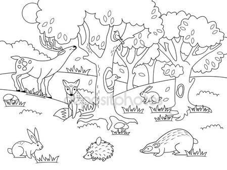 449x337 Cartoon Forest Coloring Vector Illustration Stock Vector