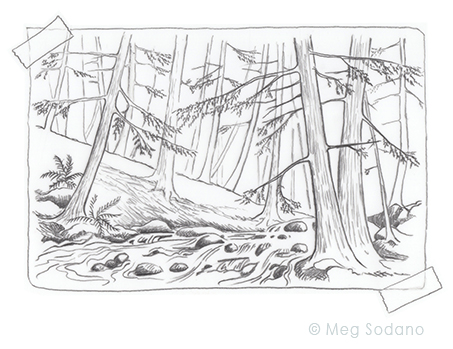 453x349 Illustrating The Importance And Vulnerability Of Eastern Hemlock