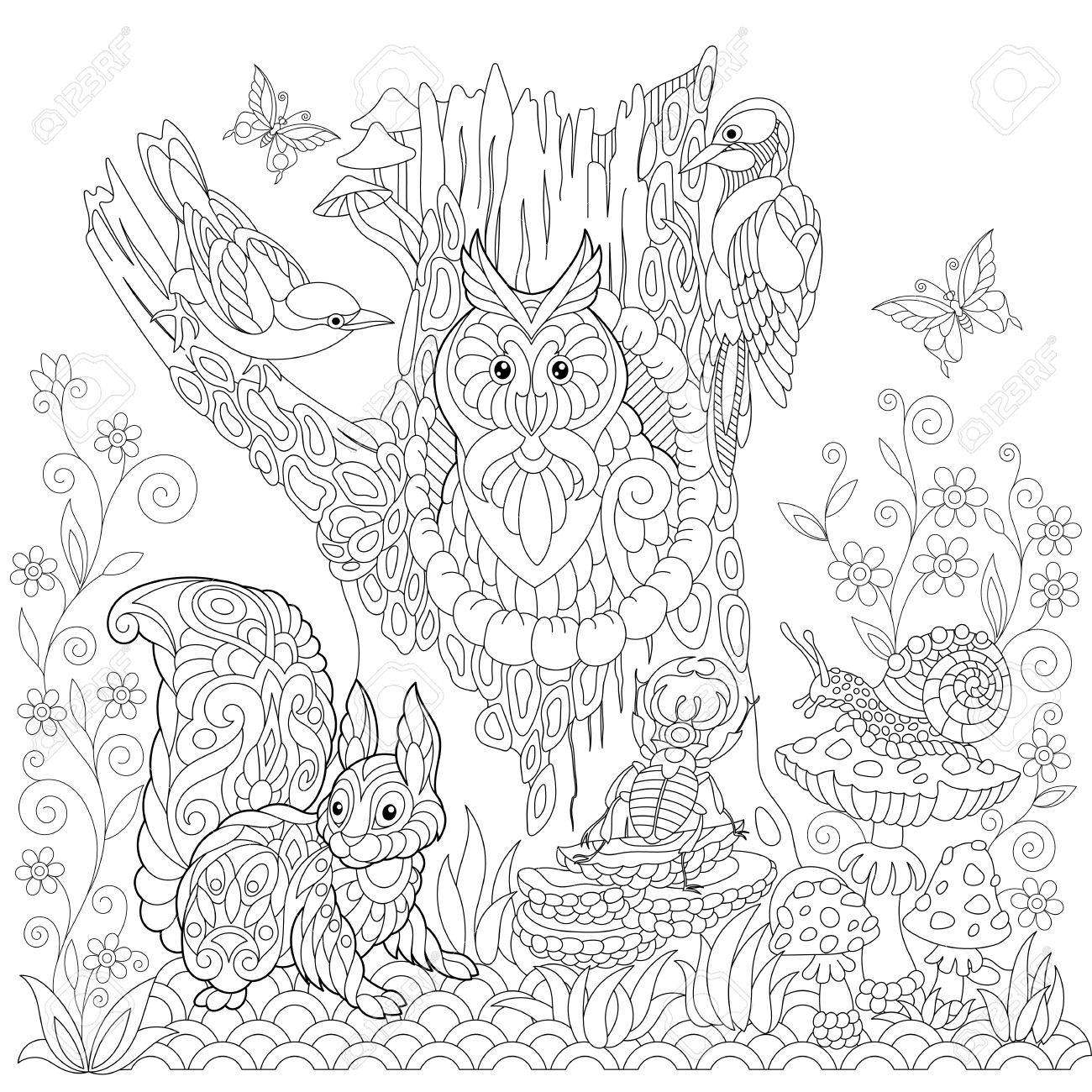 1300x1300 Coloring Book Page Of Forest Landscape, Owl, Cuckoo Bird