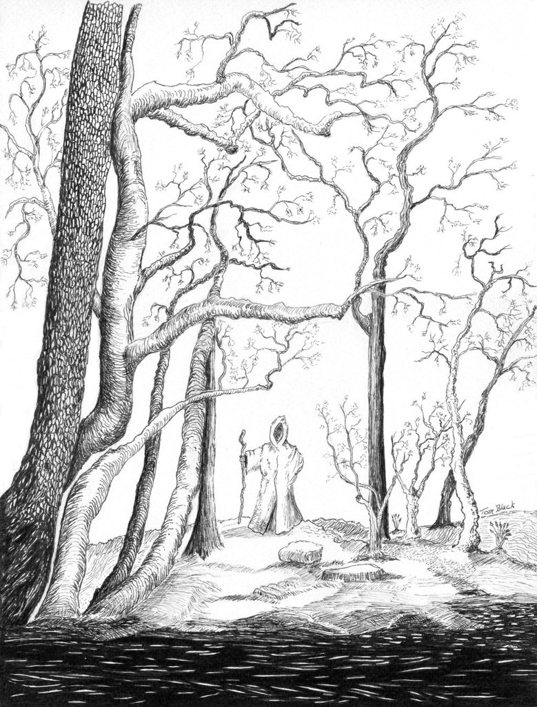 779x1025 Dark Forest By Bigsteel