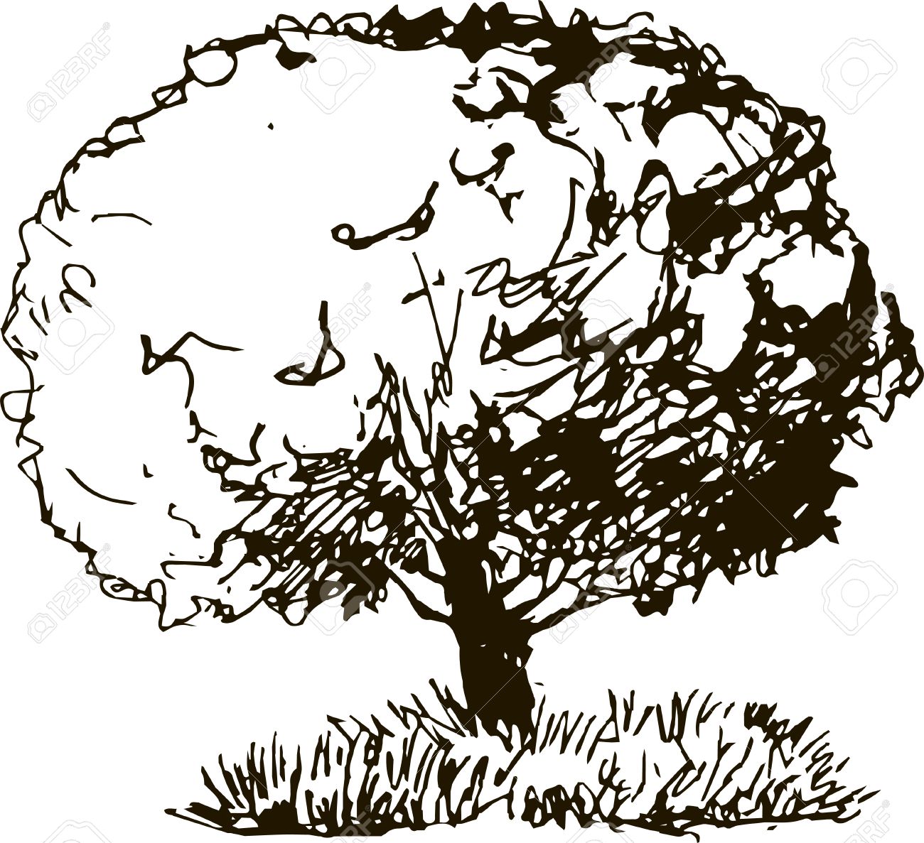 1300x1187 Deciduous Tree With Leaves And Grass Drawing By Pencil, Sketch