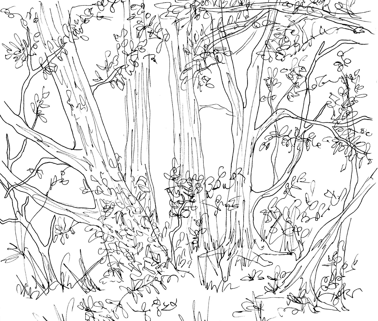 1600x1360 Drawings Of Forests With Animals How To Draw Forest Scene Step By