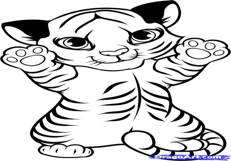 476x333 Easy Tiger Face Coloring Page Image Clipart Images