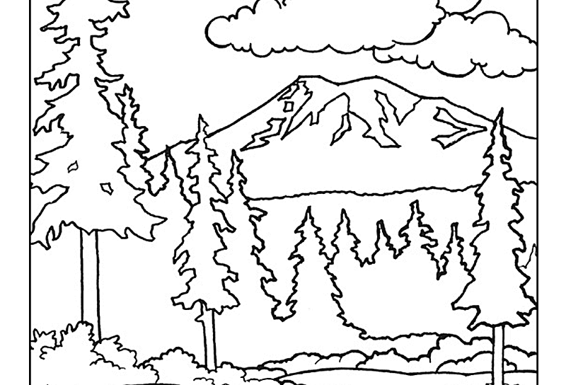 800x544 Forest Background Scene Color Pages Mountain Forest Background