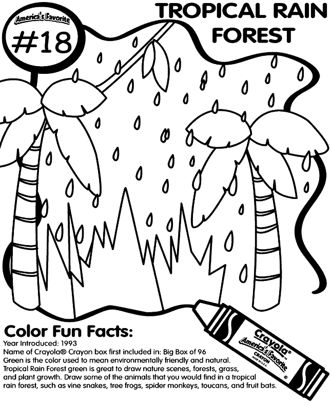 645x790 Animal Forest Easy Coloring Pages