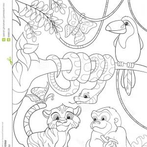 300x300 Rainforest Animals Snake Easy To Draw How To Draw A Cartoon Snake