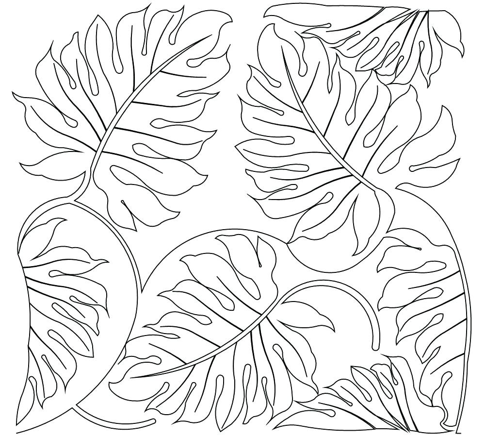 1000x900 Coloring Rain Forest Coloring Pages