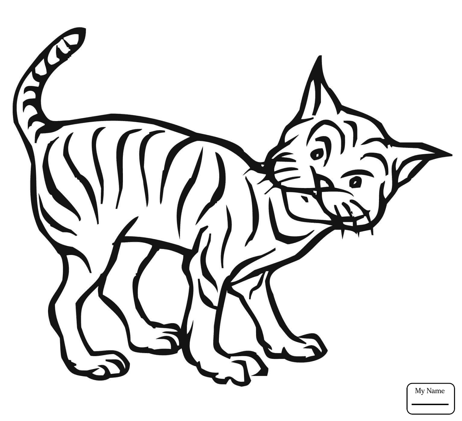 1530x1395 Coloring Pages For Kids Mammals Bobcat In The Forest Bobcats