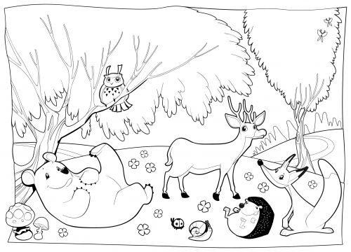 500x360 Forest Animals Coloring Pages Preschool For Sweet Draw Page