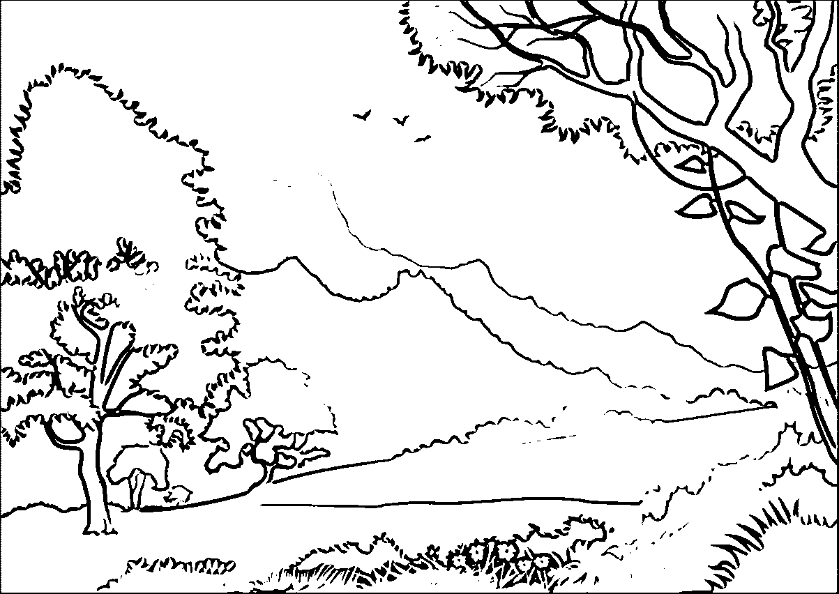 1203x852 Forest Coloring Pages Colouring For Funny Draw Printable