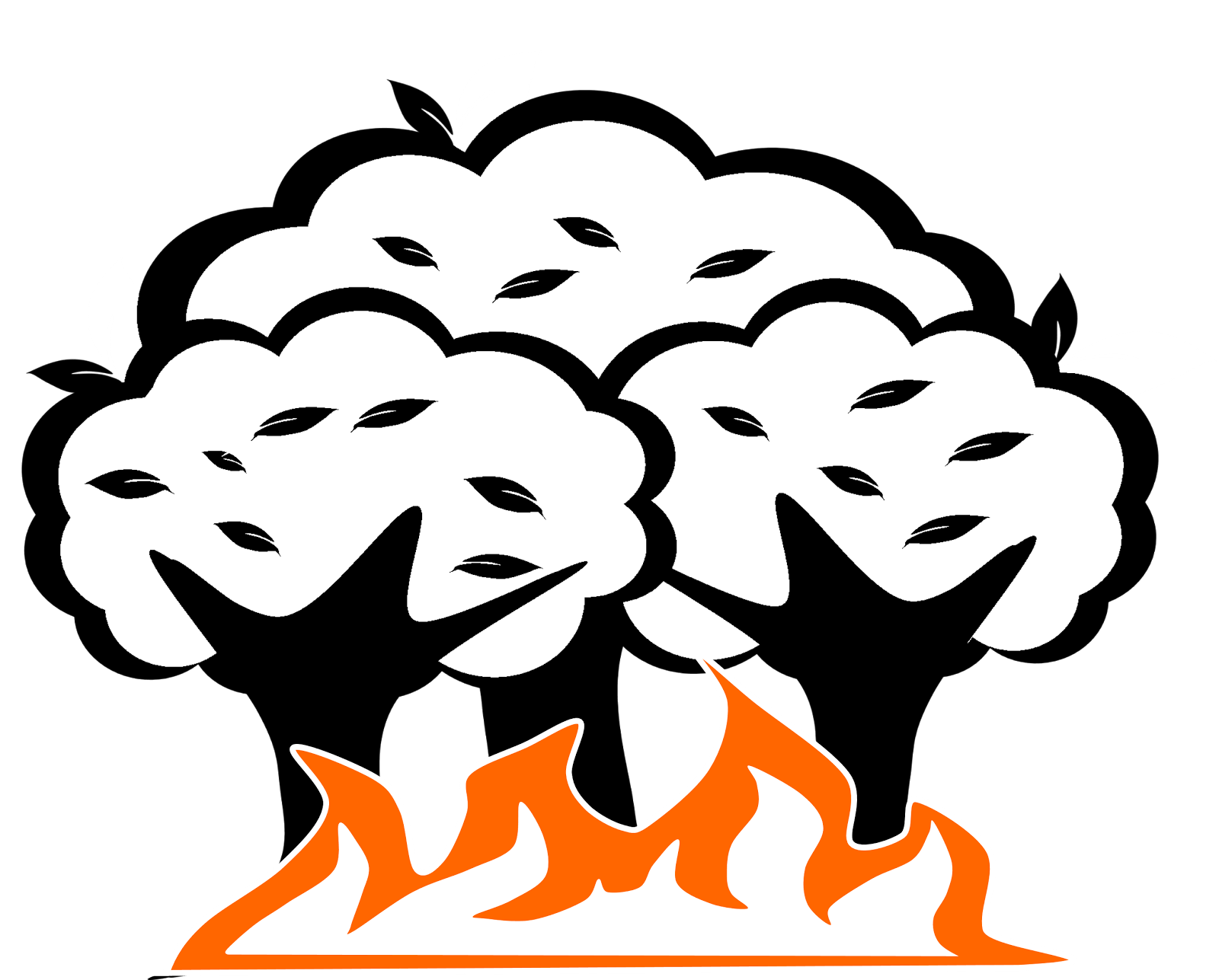 1600x1287 Forest Drawing Cliparts