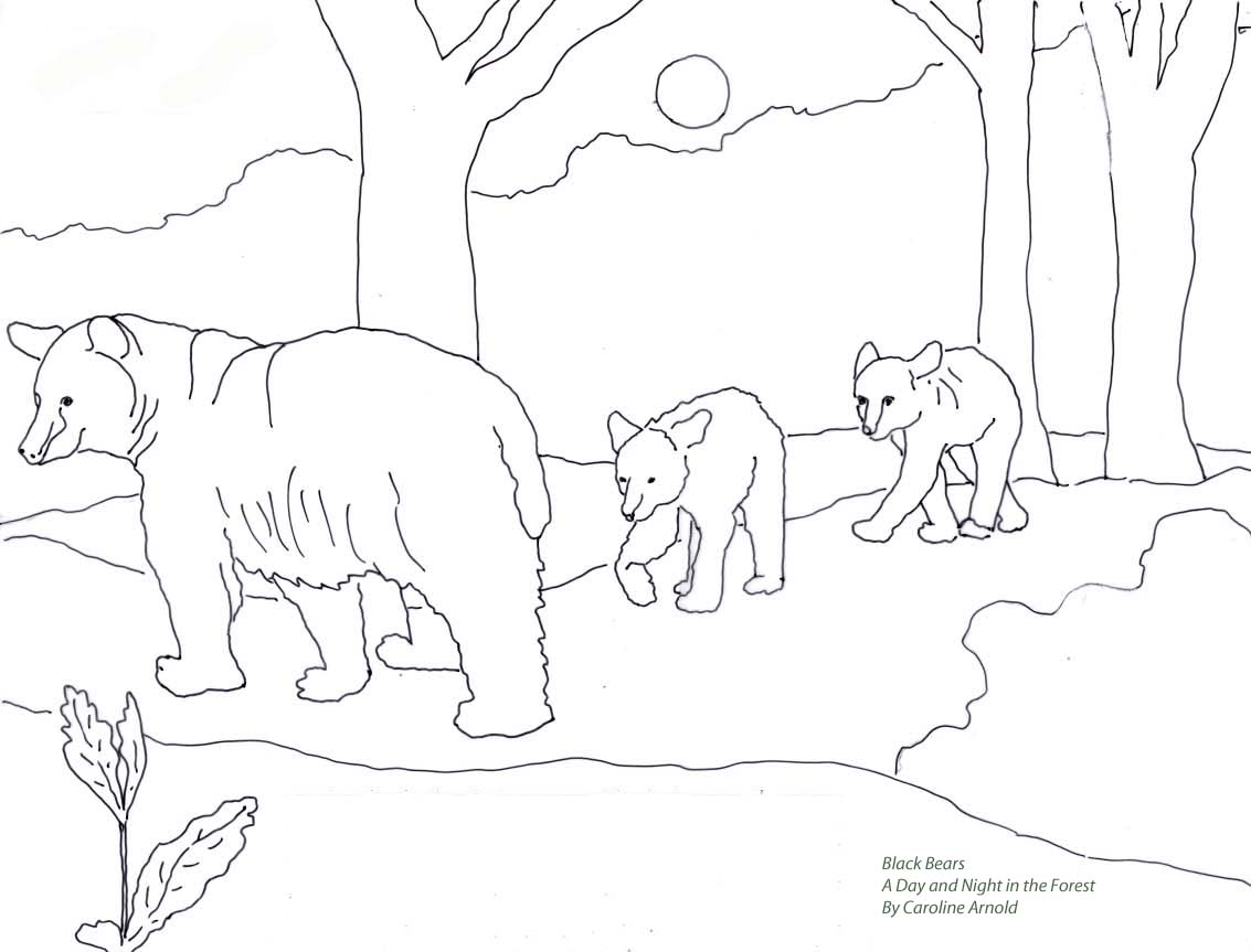 1133x863 Coloringpagebears2.jpg