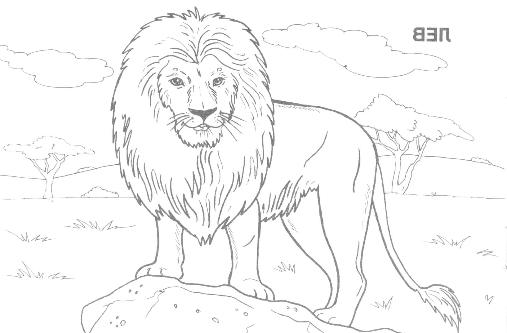 1635x1074 Drawing Of Wild Animals In Forest Archives