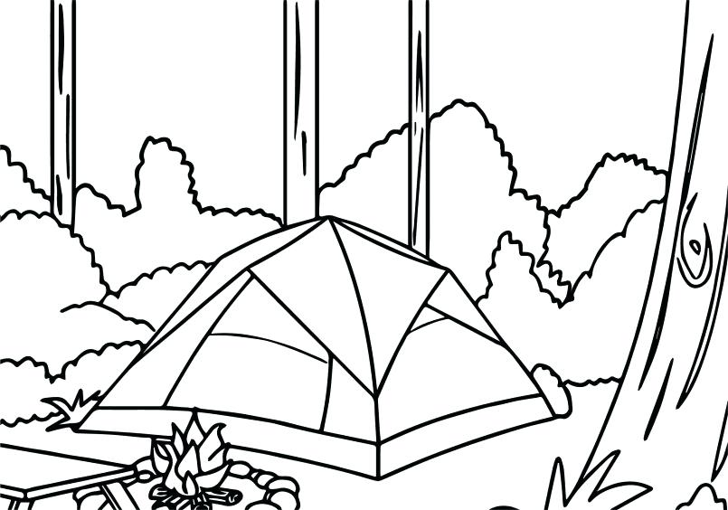 805x564 Forest Habitat Animals Coloring Pages Care Bear Printable Free