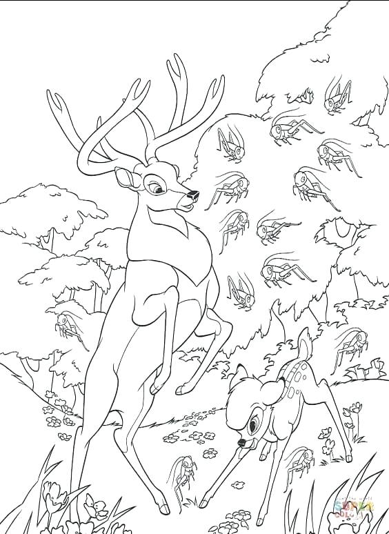 564x774 Forest Coloring Page