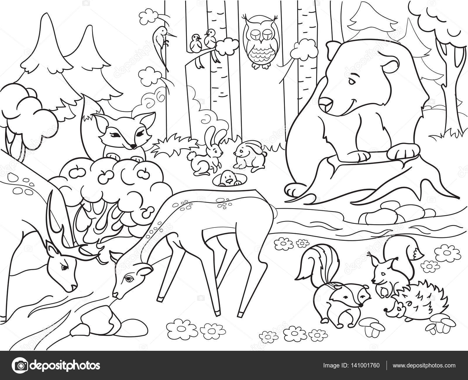 1600x1300 Forest Landscape With Animals Coloring Vector For Adults Stock