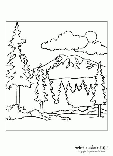 363x500 Forest Scene Print. Color. Fun! Free Printables, Coloring Pages