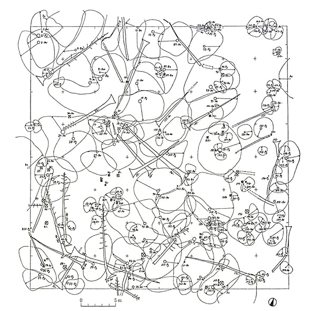 1080x1080 Junya Ishigami's Tree Canopy Projection For Carrying Out Surveys