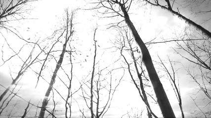 427x240 Search Photos By Sven Hastedt