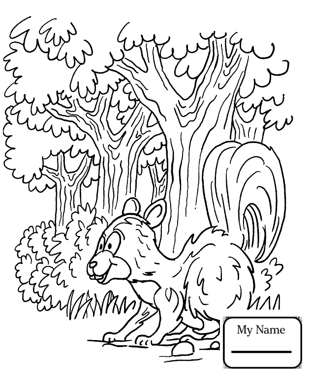 628x765 Nature Seasons Forest Landscape Forest Coloring Pages