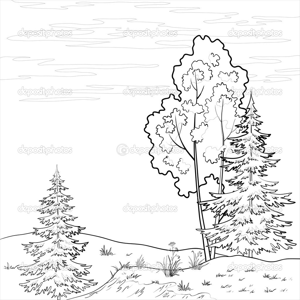 1024x1024 Painting Outline