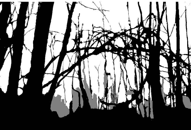 800x545 Towpath Woods Posterized4 Web The Snarky Quilter