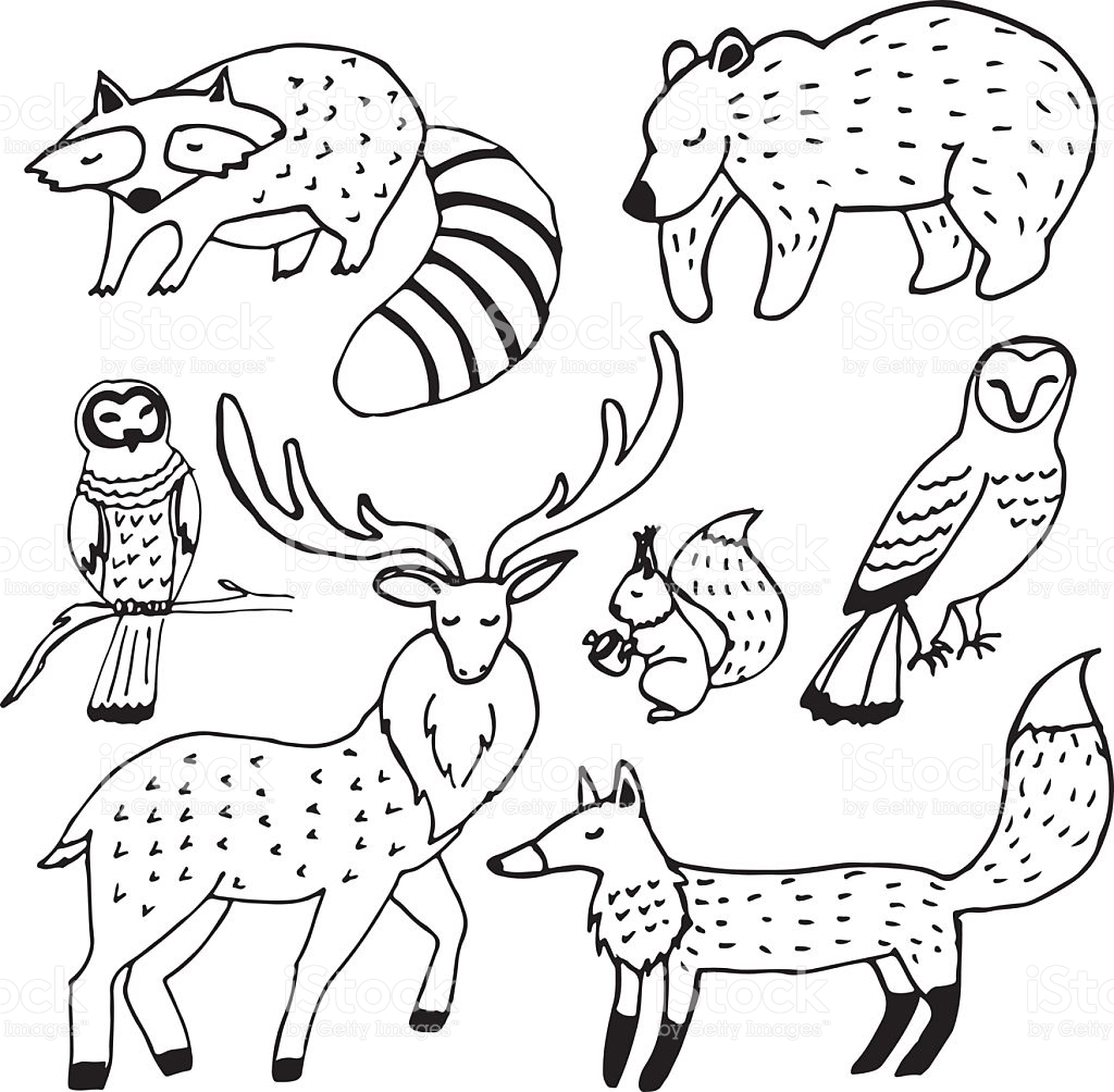 1024x1004 Forest And Animals Drawing Line Pictures Forest And Animals