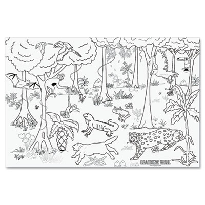400x400 Learning Walls Paper, Rain Forest, 72 X 48
