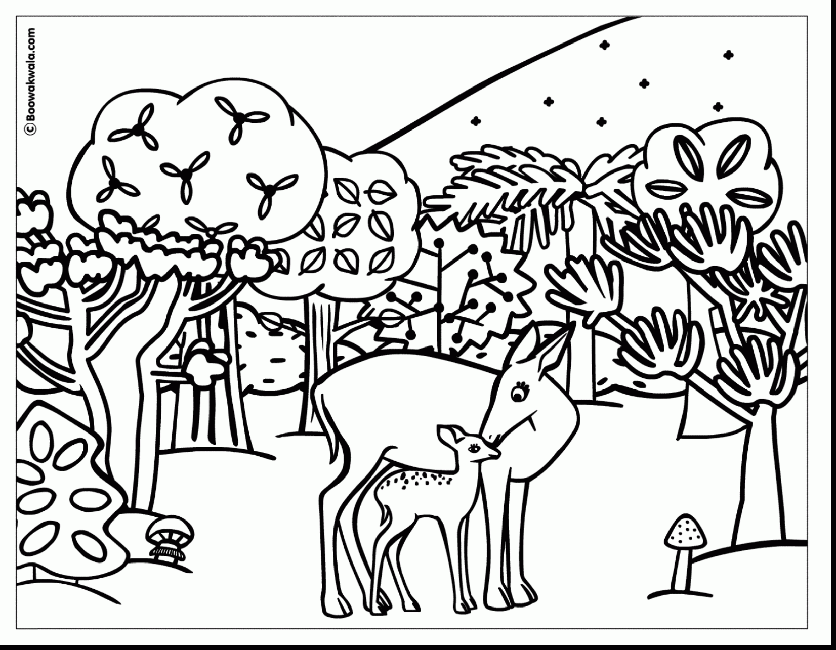 1652x1285 Rainforest Animal Coloring Pages Colouring For Pretty Print Draw