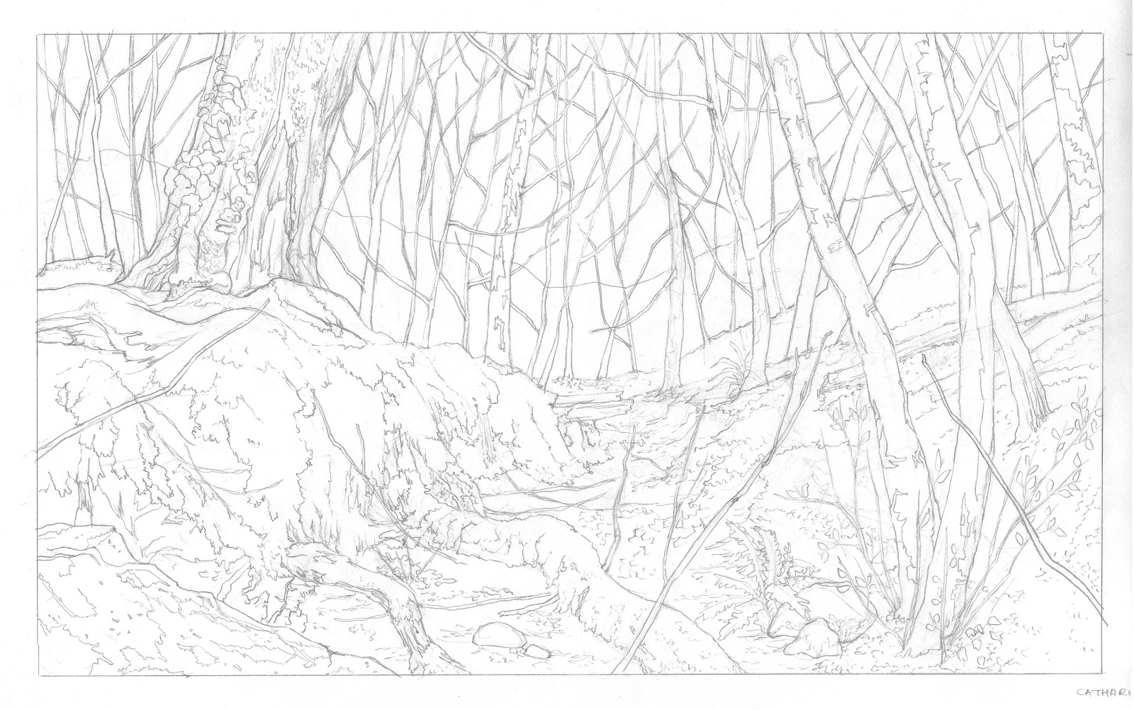 1600x1002 Doodlesampscribbles May 2012