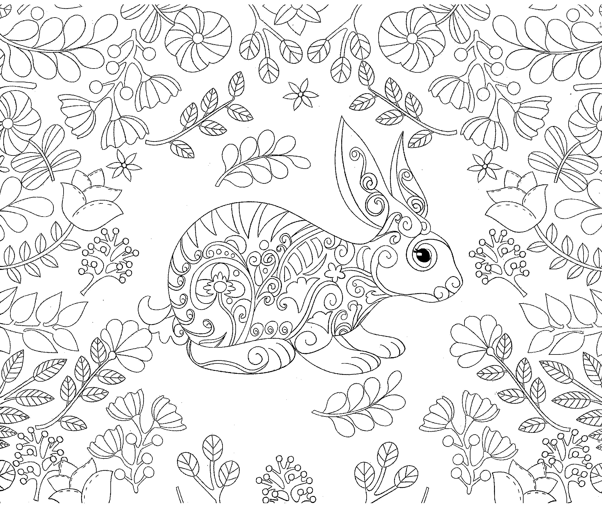 2018x1702 Rabbit Bunny Forest Coloring Adult Coloriage Colorir Coloring