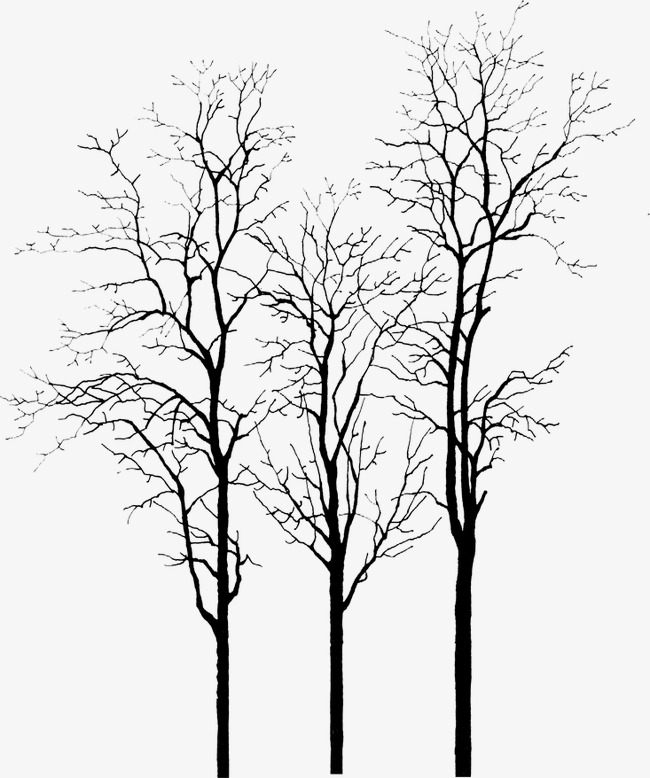 650x778 Dead Tree Forest, Trees, Park, Withered Png Image For Free Download